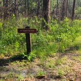 Review photo of Reed Bingham State Park Campground by Sally L., June 27, 2026