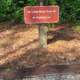 Review photo of Reed Bingham State Park Campground by Sally L., June 27, 2026