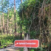 Review photo of Reed Bingham State Park Campground by Sally L., June 27, 2026