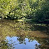 Review photo of Reed Bingham State Park Campground by Maggie  C., June 2, 2024