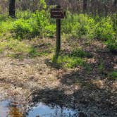 Review photo of Reed Bingham State Park Campground by Sally L., June 27, 2026
