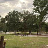 Review photo of Reed Bingham State Park Campground by Rafa D., July 1, 2026