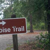 Review photo of Reed Bingham State Park Campground by Sally L., June 27, 2026