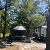 Review photo of Reed Bingham State Park Campground by Maggie  C., June 2, 2024