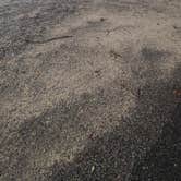 Review photo of Reed Bingham State Park Campground by Sally L., June 27, 2026