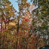 Review photo of Shady Grove Campground by Shea D., November 14, 2025