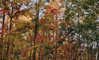 Shea D.'s photo at Shady Grove Campground near Lawrenceville, GA