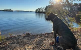 darrel W.'s photo of camping with pets at Shady Grove Campground near Cumming, GA