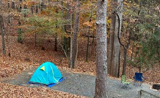 Hanna P.'s photo at Shady Grove Campground in Georgia