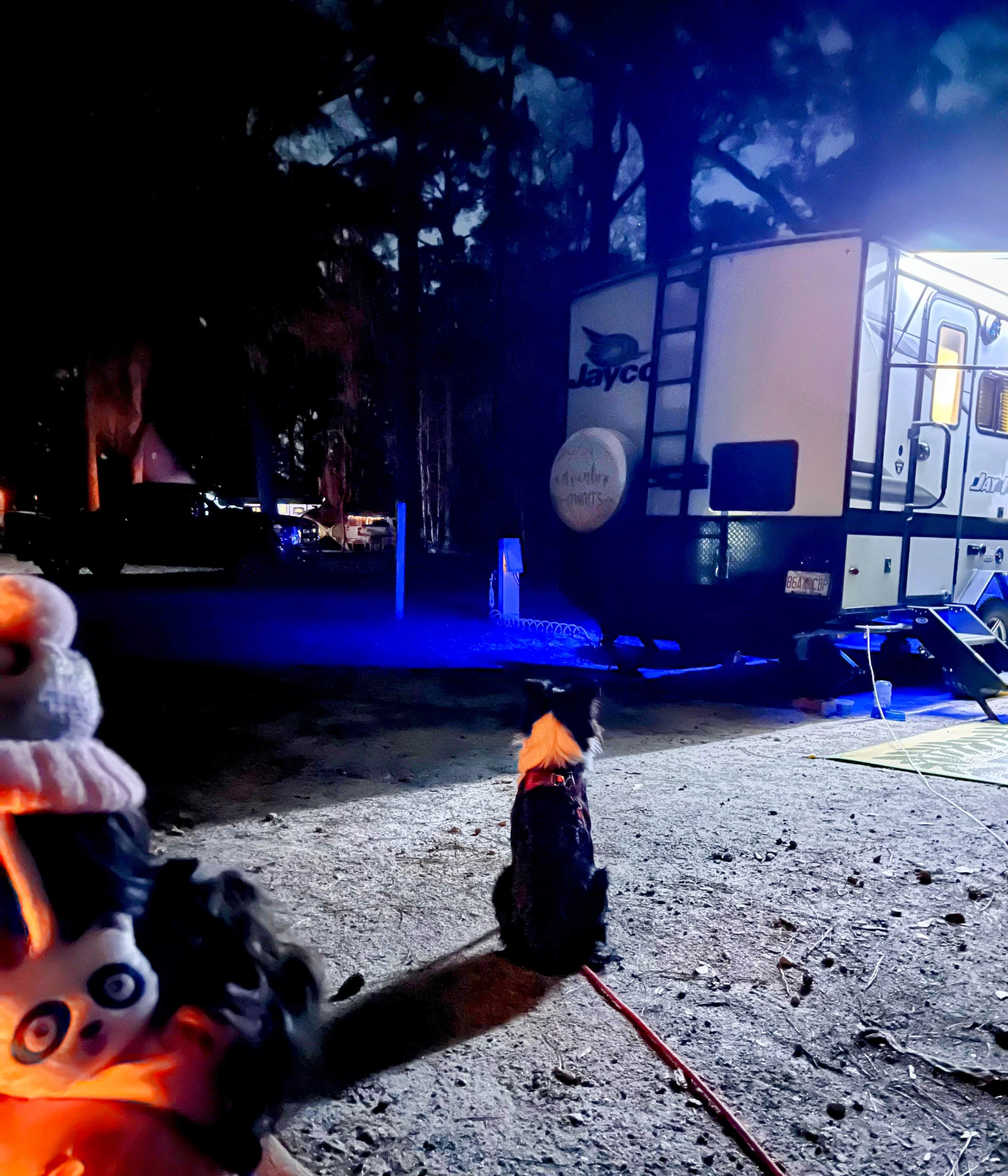 L&A C.'s photo of camping with pets at Skidaway Island State Park Campground near Hardeeville, SC