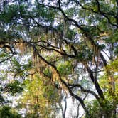 Review photo of Skidaway Island State Park Campground by Megan C., May 16, 2024