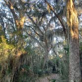 Review photo of Skidaway Island State Park Campground by Adam  B., January 27, 2026
