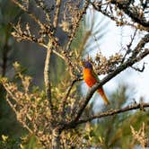 Review photo of Skidaway Island State Park Campground by Megan C., May 16, 2024