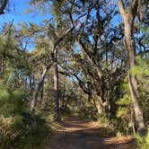 Review photo of Skidaway Island State Park Campground by Adam  B., January 27, 2026