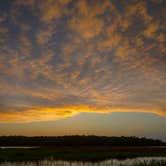 Review photo of Skidaway Island State Park Campground by Megan C., May 16, 2024