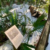 Review photo of Skidaway Island State Park Campground by Elizabeth E., February 13, 2025