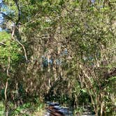 Review photo of Skidaway Island State Park Campground by Elizabeth E., February 13, 2025