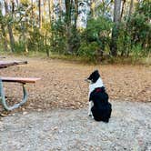 Review photo of Skidaway Island State Park Campground by L&A C., May 27, 2024