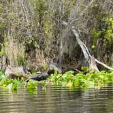Review photo of Stephen C. Foster State Park Campground by Chris L., April 2, 2026