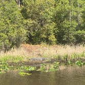 Review photo of Stephen C. Foster State Park Campground by Chris L., April 2, 2026