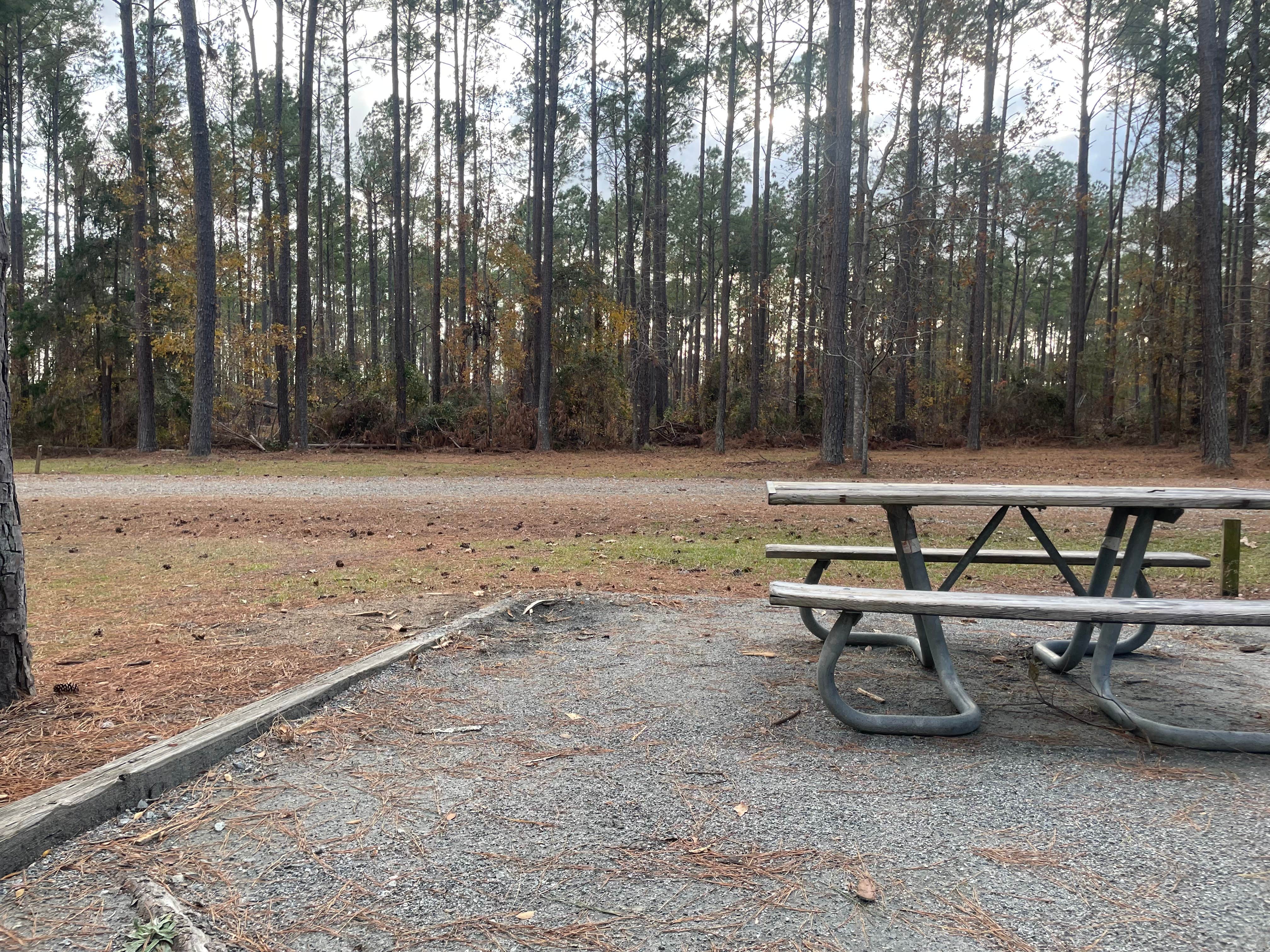 Camper-submitted photo at Towns Bluff Park near Hazlehurst, GA