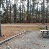 Review photo of Towns Bluff Park by dawn S., December 15, 2024