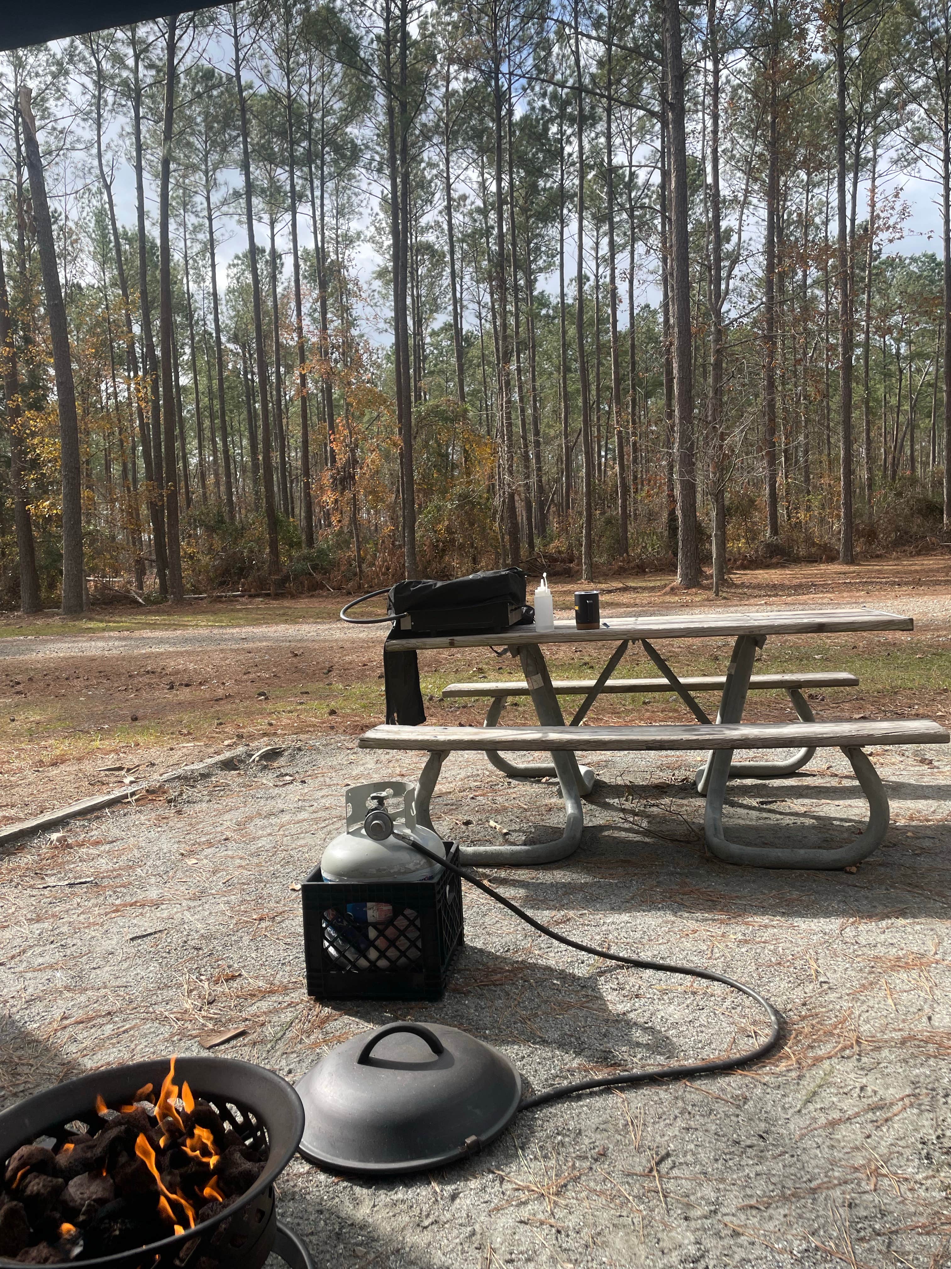Camping near General Coffee State Park Campground: Towns Bluff Park, Uvalda, Georgia