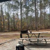 Review photo of Towns Bluff Park by dawn S., December 15, 2024