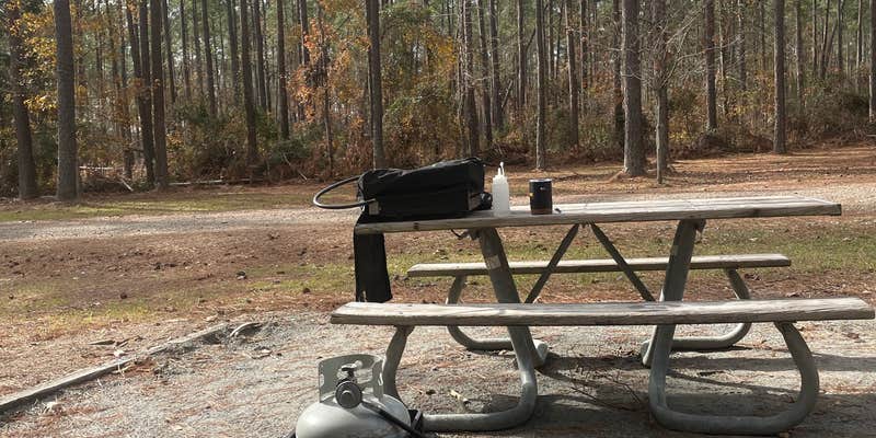 Camper submitted image from Towns Bluff Park