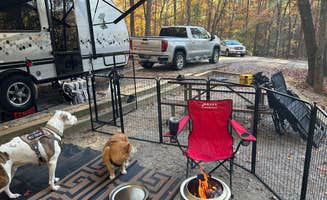 Bill T.'s photo of camping with pets at Unicoi State Park & Lodge near Baldwin, GA