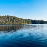 Review photo of Unicoi State Park & Lodge by Bill  T., January 2, 2026