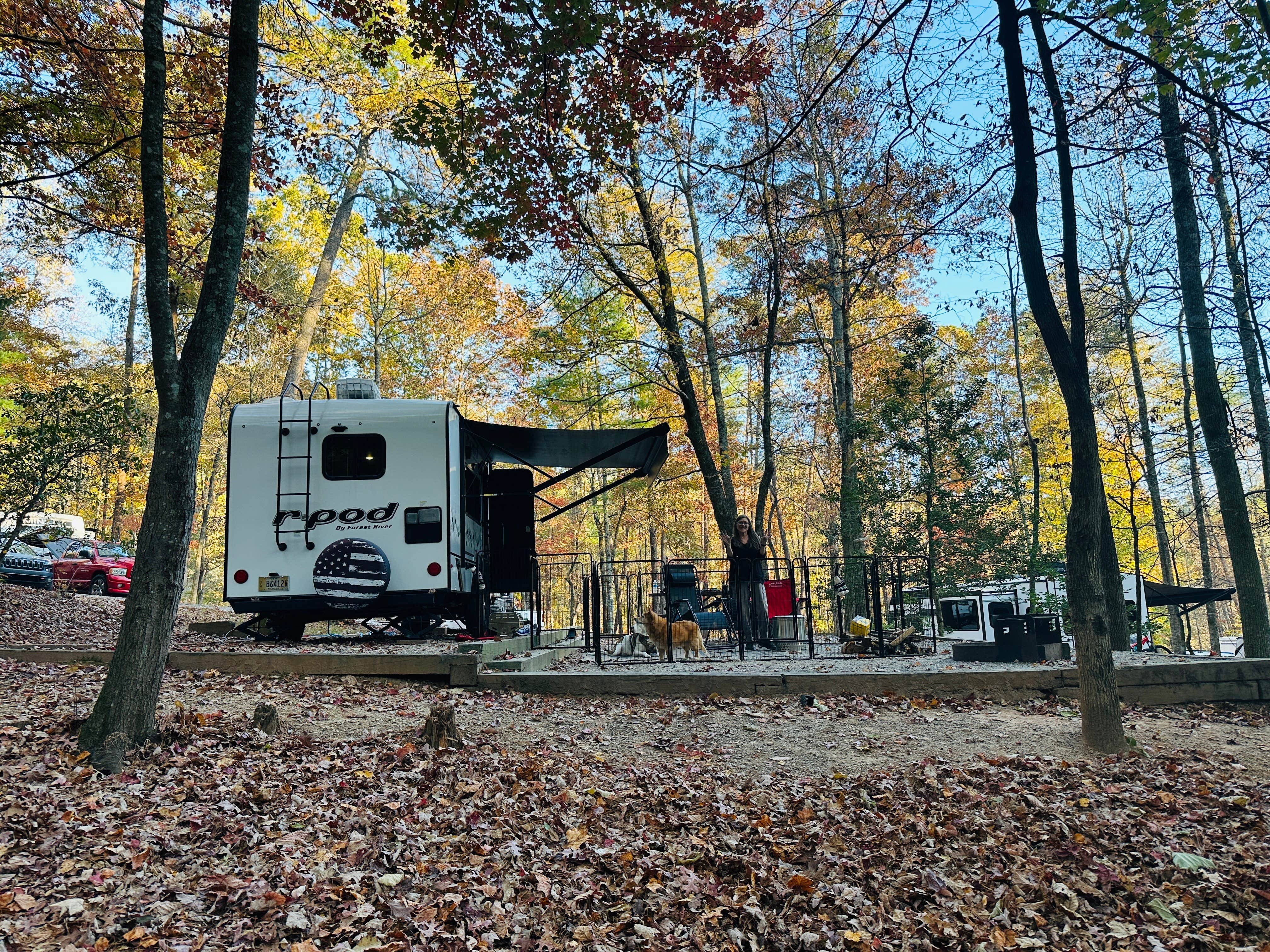 Bill  T.'s photo of camping with pets at Unicoi State Park & Lodge near Blairsville, GA