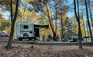 Bill T.'s photo of camping with pets at Unicoi State Park & Lodge near Baldwin, GA