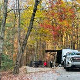 Review photo of Unicoi State Park & Lodge by Bill  T., January 2, 2026