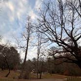 Review photo of Unicoi State Park & Lodge by Rodrigo D., November 22, 2025