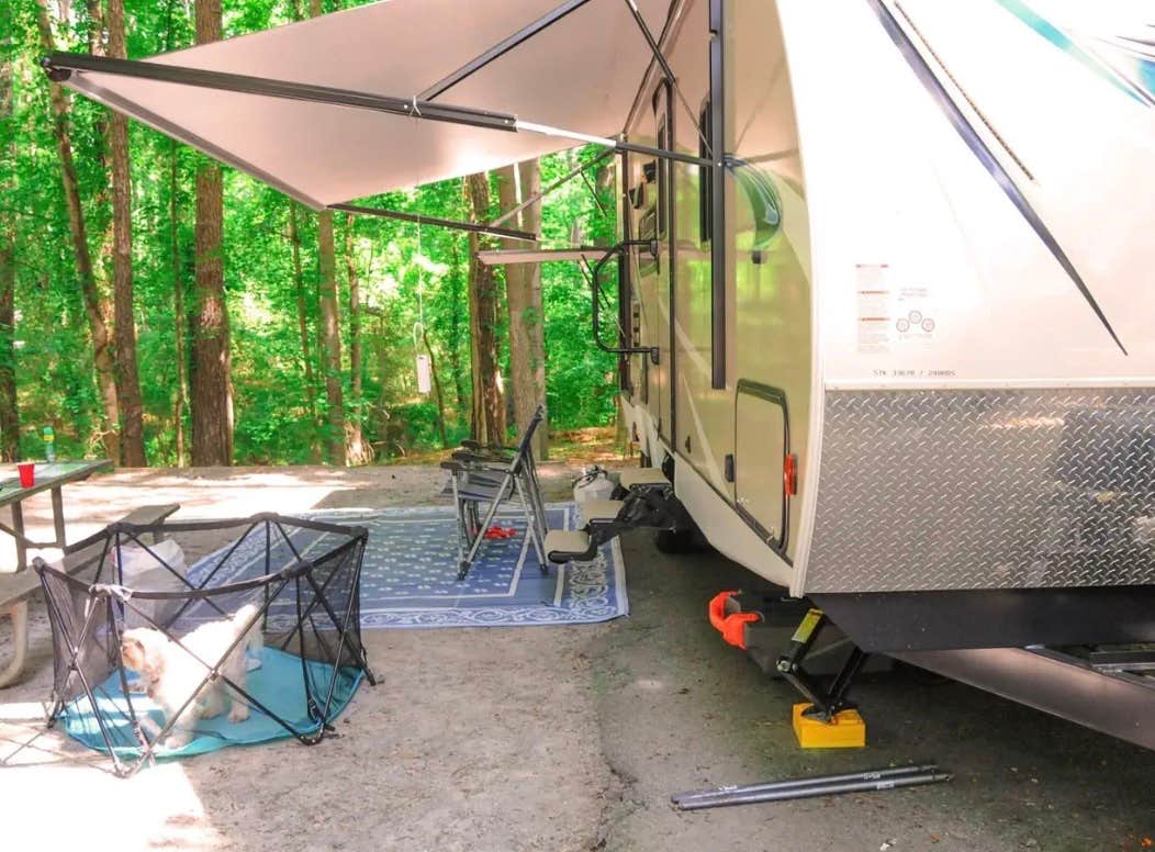 Kylee P.'s photo of camping with pets at Victoria Campground near Nelson, GA