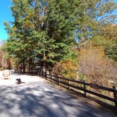 Review photo of Vogel State Park Campground by Paul B., October 18, 2023