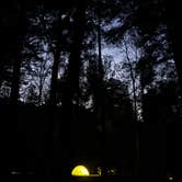 Review photo of Vogel State Park Campground by Frances B., March 23, 2026