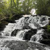 Review photo of Vogel State Park Campground by Erin L., June 2, 2025