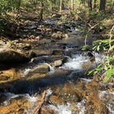 Review photo of Vogel State Park Campground by jojo , March 24, 2024