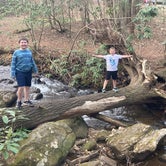 Review photo of Vogel State Park by jojo , March 24, 2024