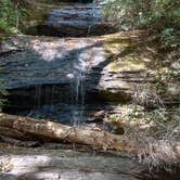 Review photo of Vogel State Park Campground by Paul B., October 18, 2023