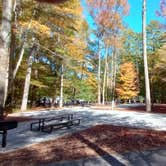 Review photo of Vogel State Park Campground by Paul B., October 18, 2023