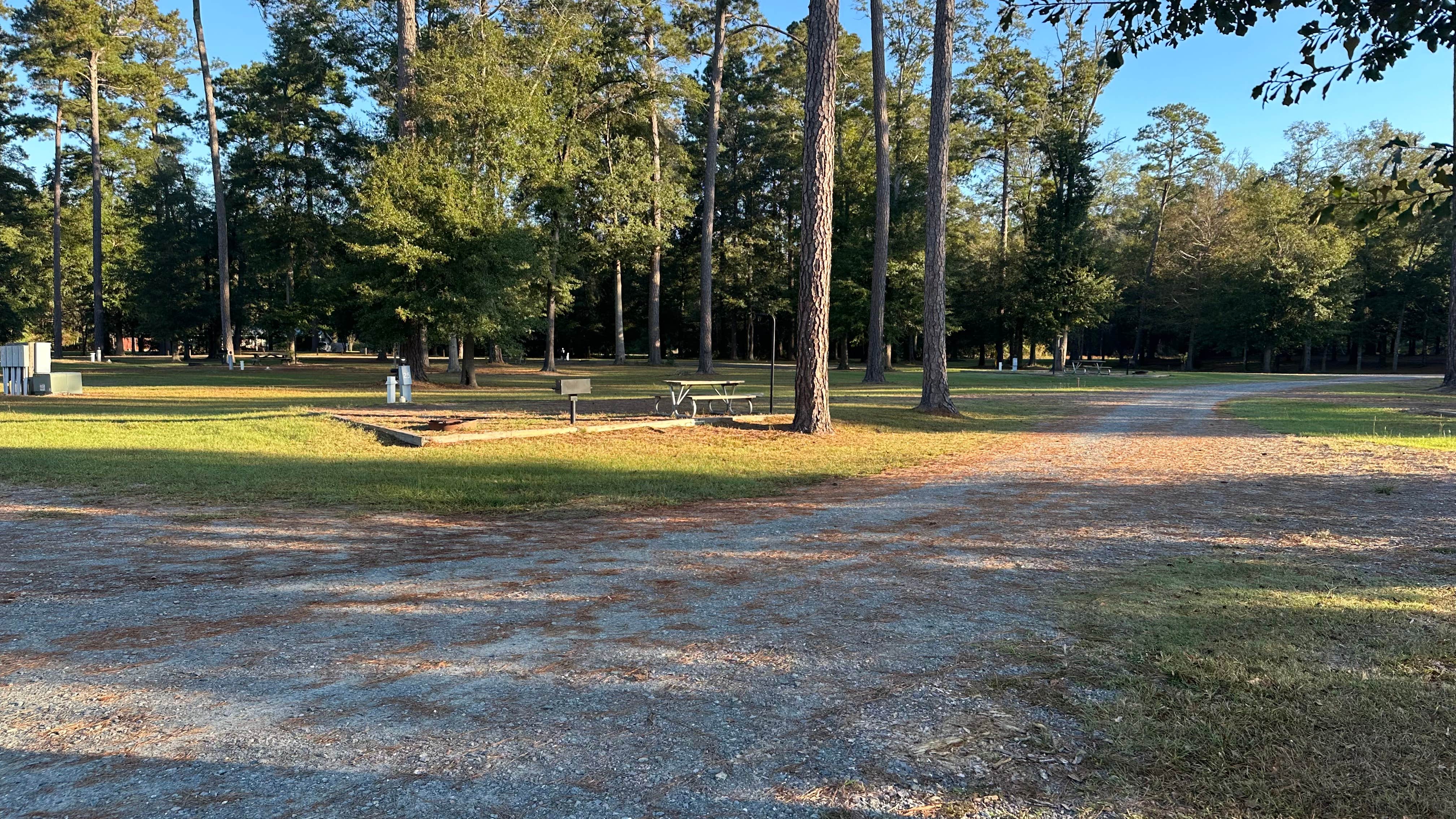 Camper submitted image from Whitewater Creek Park - 4