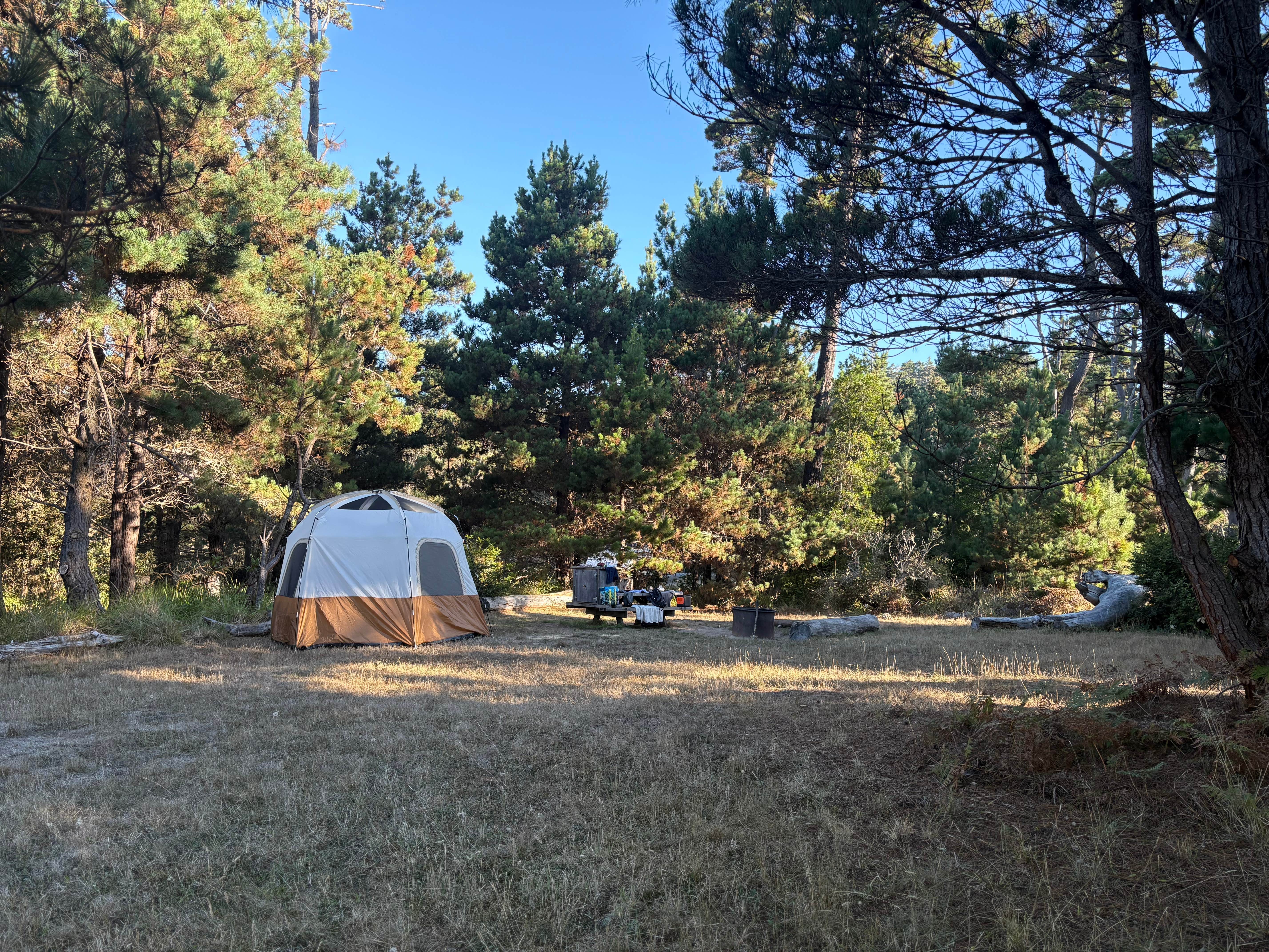 Camper-submitted photo at Salt Point State Park Campground near Gualala, CA