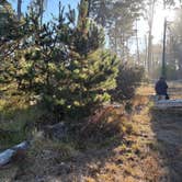 Review photo of Salt Point State Park Campground by Jake M., September 22, 2025