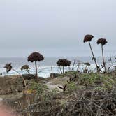 Review photo of Salt Point State Park Campground by gabriel F., August 16, 2025