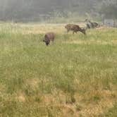 Review photo of Salt Point State Park Campground by Kate H., May 31, 2026
