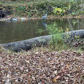 Review photo of Gettysburg Campground by Jason L., October 15, 2024