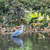 Review photo of Gettysburg Campground by Jason L., October 15, 2024